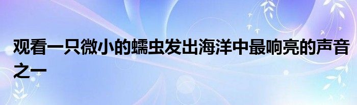 观看一只微小的蠕虫发出海洋中最响亮的声音之一