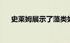 史莱姆展示了藻类如何塑造我们的气候