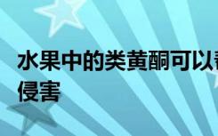 水果中的类黄酮可以帮助保护您免受毒蛇毒的侵害