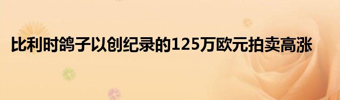 比利时鸽子以创纪录的125万欧元拍卖高涨