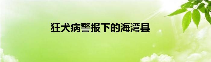 狂犬病警报下的海湾县