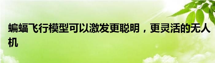 蝙蝠飞行模型可以激发更聪明，更灵活的无人机