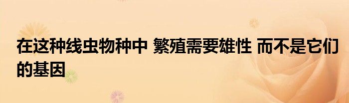 在这种线虫物种中 繁殖需要雄性 而不是它们的基因