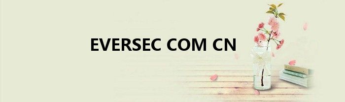 EVERSEC COM CN