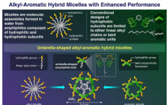 研究表明烷基-芳香族杂化胶束可以由伞状分子形成