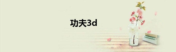 功夫3d