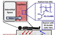 研究人员开发出用于院前治疗严重失血性休克的低容量复苏剂