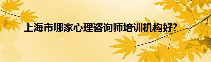 上海市哪家心理咨询师培训机构好?