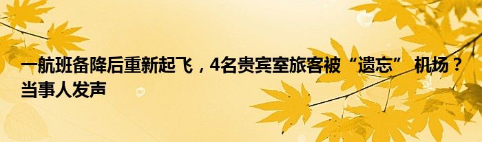 一航班备降后重新起飞，4名贵宾室旅客被“遗忘” 机场？当事人发声