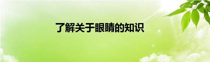 了解关于眼睛的知识