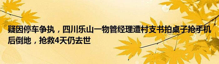 疑因停车争执，四川乐山一物管经理遭村支书拍桌子抢手机后倒地，抢救4天仍去世