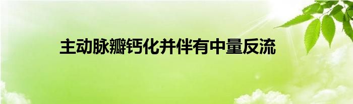 主动脉瓣钙化并伴有中量反流