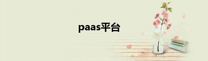 paas平台