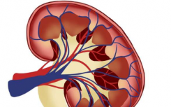 新技术可比标准方法更早地发现肾脏疾病