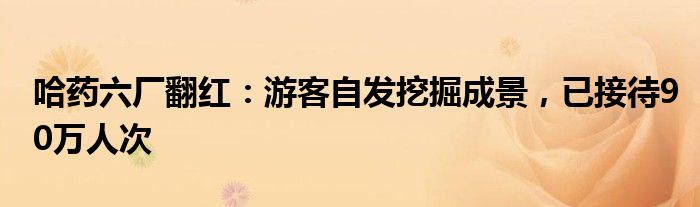 哈药六厂翻红：游客自发挖掘成景，已接待90万人次