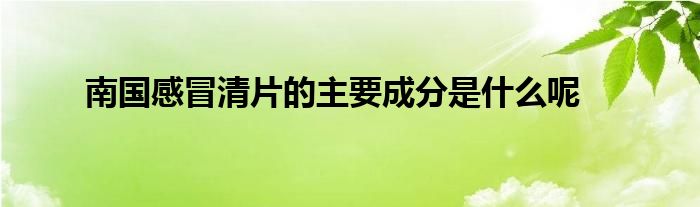 南国感冒清片的主要成分是什么呢