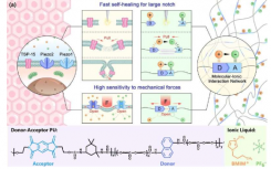 科学家开发出具有优异自愈效率和灵敏度的新型离子电子皮肤