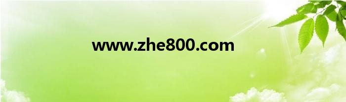 www.zhe800.com