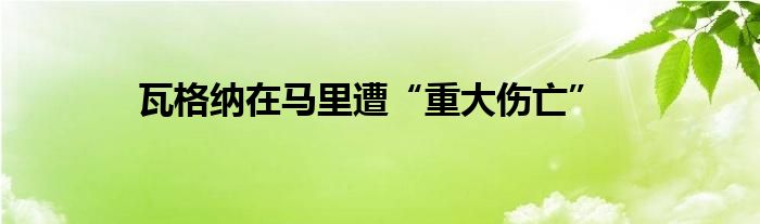 瓦格纳在马里遭“重大伤亡”