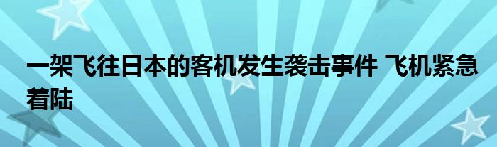 一架飞往日本的客机发生袭击事件 飞机紧急着陆