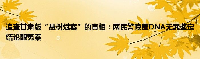 追查甘肃版“聂树斌案”的真相：两民警隐匿DNA无罪鉴定结论酿冤案