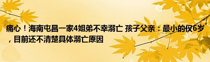 痛心！海南屯昌一家4姐弟不幸溺亡 孩子父亲：最小的仅6岁，目前还不清楚具体溺亡原因