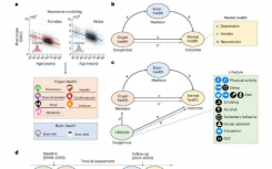 揭示连接身体和大脑健康的途径以及对心理健康的影响