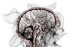 研究：一种新型的退行性脑病在高龄老人中十分常见