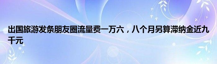 出国旅游发条朋友圈流量费一万六，八个月另算滞纳金近九千元