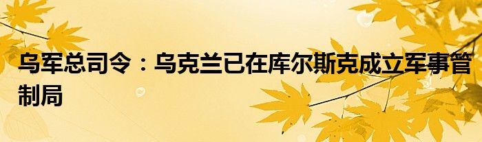 乌军总司令：乌克兰已在库尔斯克成立军事管制局