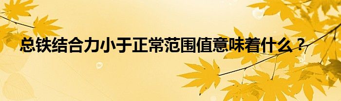 总铁结合力小于正常范围值意味着什么？