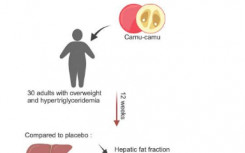 卡姆果提取物在临床试验中显示出减少肝脏脂肪的潜力