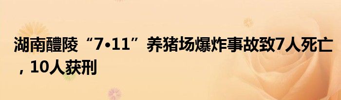 湖南醴陵“7·11”养猪场爆炸事故致7人死亡，10人获刑